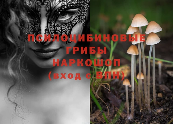spice Ладушкин