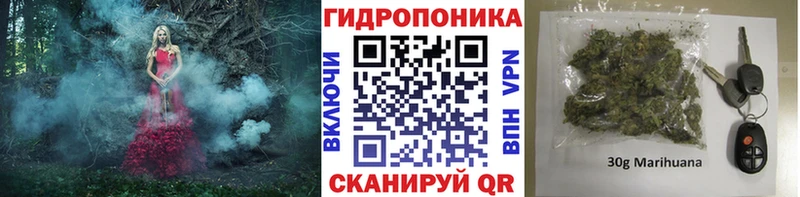 Марихуана сатива  Купить где  Чекалин 